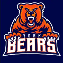 Нью-Йорк Беарз