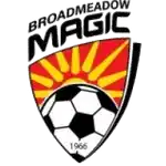 Broadmeadow Magic FC