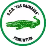 Những con cá sấu
