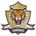 Câu lạc bộ bóng đá Tigres