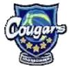 Hitachi Cougars (Women)