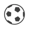 BGHC 1 FC
