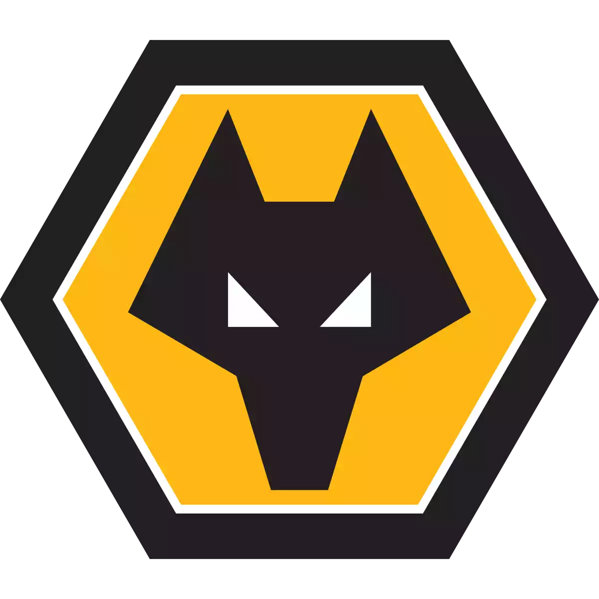 Wolverhampton Wanderers (gelennzz)