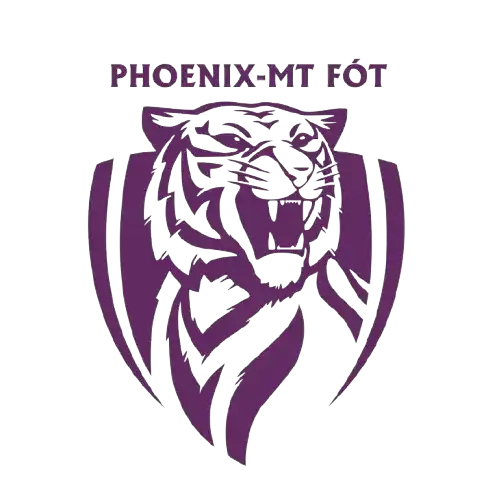 Феникс - МТ ФОТ