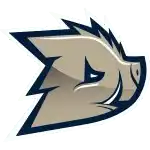 Дзики Варшава