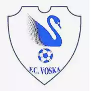 Đội thể thao Voska