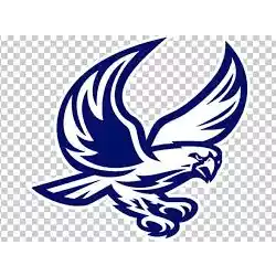 Messiah Falcons