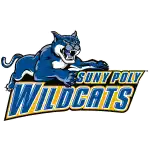 Đại học SUNY Polytech Wildcats