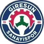 Prolift Giresun Sanayispor (Women)