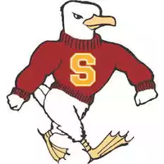 Salisbury Sea Gulls