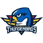 Спрингфилд Тандербёрдс