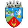 CSM Lugoj