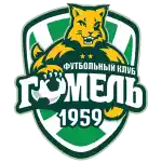 TF Gomel