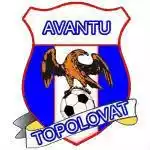 Avantu Topolovatu Mare