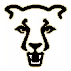 Colorado Springs Mountain Lions