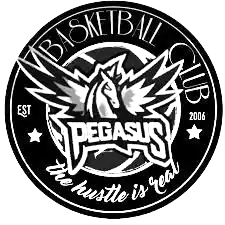 Пегасус II