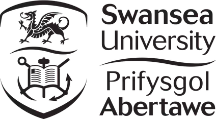 Swansea University