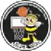 Yamanashi Queen Bees (F)