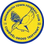 Monmouth Town FC