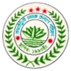 Каситулы СКП