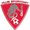 Rapid Domaniow U17