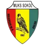 Sokol Kolbuszowa Dolna