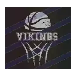Những chiến binh Viking điên rồ