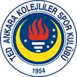 TED Ankara Kolejliler