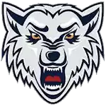 BK Wolves Radotin