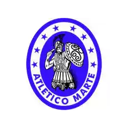 team_logo