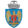 Аурель Влайку