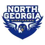 North Georgia Nighthawks