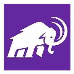 Amherst Mammoths