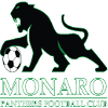 Monaro Panthers U20