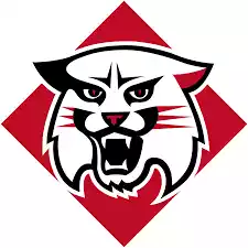 Davidson Wildcats