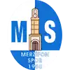 Merzifonspor