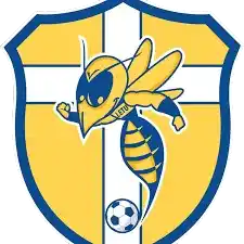 ЛеТорнау Йеллоуджэкетс