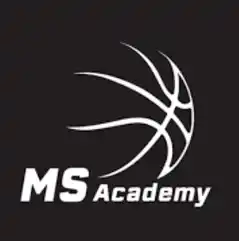 MS Academy