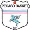 Pegaso U18