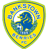Bankstown Berries U20