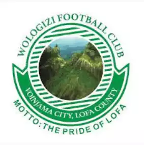 Wologizi