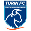 Turin FESA