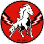 ХК Вита Хастен