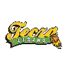 Tecza Leszno (Women)