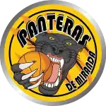 Panteras De Miranda