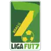 League Foot 7