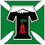 Deportes Temuco