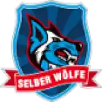 VER Selb
