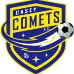 Đội bóng Casey Comets II