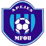 APEJES Academy